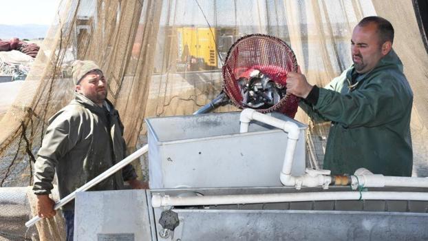 Yozgat'ta yapılacak son işten 11 yılda servet kazandı! Danimarka bu tesisi mesken tuttu, talep yağıyor
