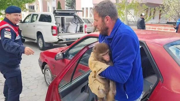 Yozgat'ta köylü buldu! Nereden geldiğini kimse bilmiyor: Türkiye'de yasak