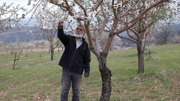 Doktorluğu bırakıp hiç bilmediği işe başladı! 15 bin tanesi tek seferde zengin edecek