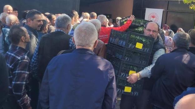 Kastamonu'da 124 bin tanesi ücretsiz dağıtıldı