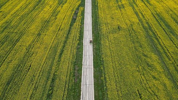 Trakya’da çiftçinin kazancı artacak! Buğday ve arpada rekor hasat kapıda