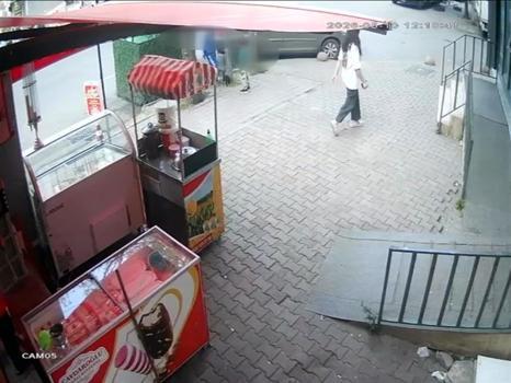 Esenler'de kediye bıçak çektiler, uyaran kadının üstüne yürüdüler!