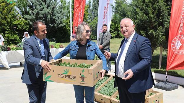 Edirne'de 63 çiftçiye 60 bin aşılı fide dağıtıldı: Bin tonun üzerinde rekolte bekleniyor!
