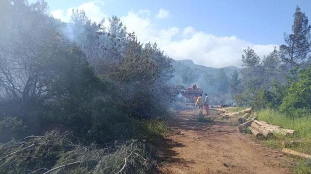 Hatay Kırıkhan’da ormanı yangını çıktı