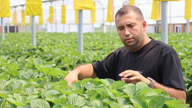 Lüleburgaz'da deneme amaçlı başladı! Talep patlaması yaşayınca 4 bin metrekarelik seraya taşındı