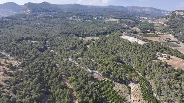 Mersin'de yasak başladı! 30 Ekim 2026 tarihine kadar sürecek