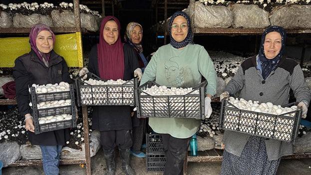 Ev hanımıydı, şimdi onlarca kadına maaş ödüyor: Her şey 5 çadırla başladı, şimdi talebe yetişemiyorlar! Hatay'da 150 ailenin yeni geçim kapısı oldu
