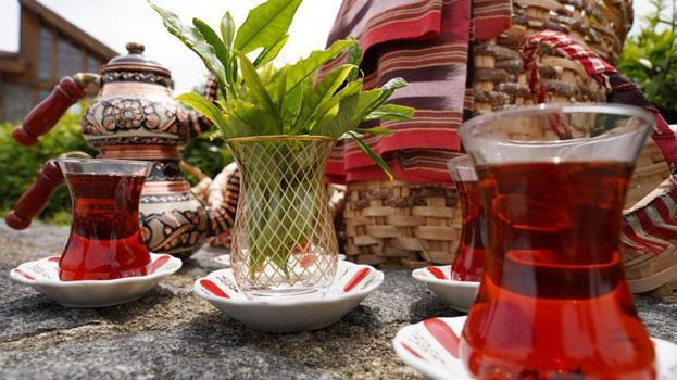 Rize'de Dünya Çay Günü elle çay toplama etkinliği ile kutlandı