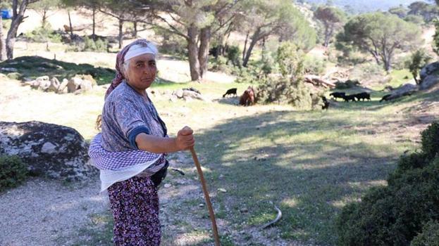 Aydın'da herkes terk etti, sadece Rukiye bacı kaldı