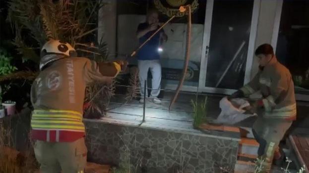 Evin bahçesine giren yılan panik yarattı