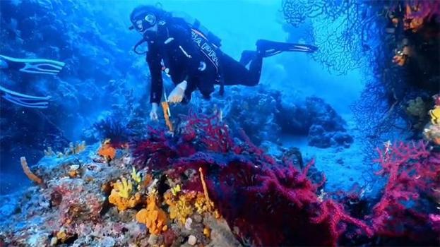 Ayvalık’ta dalış turizmine bakanlık onayı: Stratejik noktalar sportif dalışa açıldı