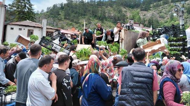 Bedava dağıtıldığını duyan oraya akın etti! Kamyonlarla getirildi, dakikalar içinde tükendi