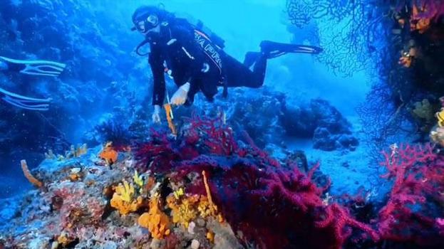 Ayvalık’ta dalış turizmine Kültür ve Turizm Bakanlığı'ndan müjde geldi