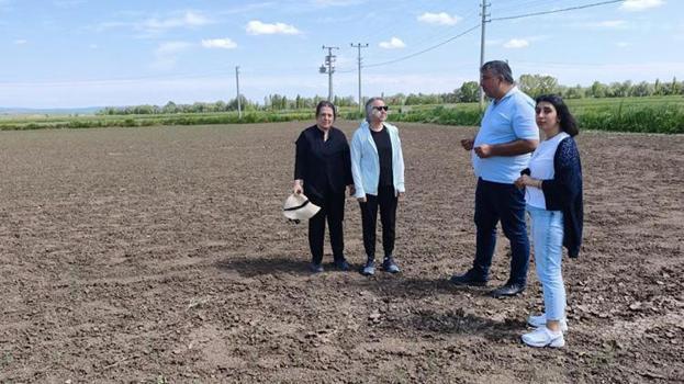 Çorum’un coğrafi işaretli değerine bilimsel koruma! Tarlalar karış karış inceleniyor