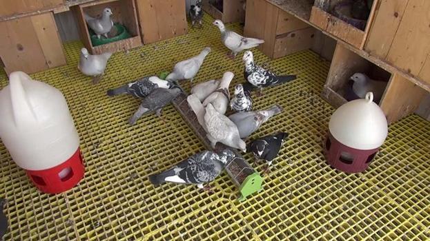 Telefon bağımlılığından bu sayede kurtuldu! 'Hayatım birden bire değişti'