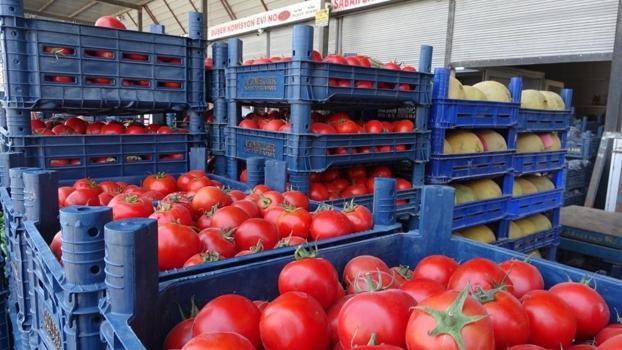 Sebze halinde fiyatlar dibi gördü: Domatesin fiyatı geriledi