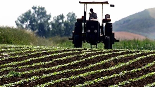 Türkiye'nin üretim rekoru o şehirden geldi! Hem çiftçiye hem ülkeye kazandırıyor