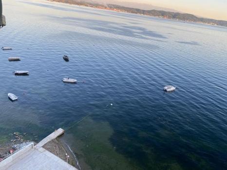 Gemlik'te sevindiren manzara: Müsilaj sonrası yüzler güldü