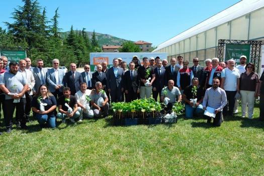 Tokat'ta üreticilere binlerce tüp asma fidanı dağıtıldı