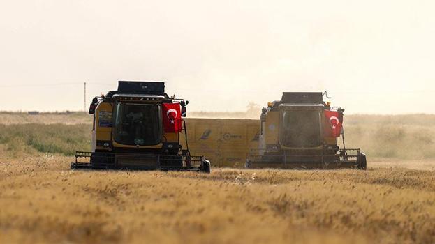 Mardin Ovası’nda buğday hasadı başladı: Dekarda 554 kilogramla 709 bin ton rekolte hedefleniyor!