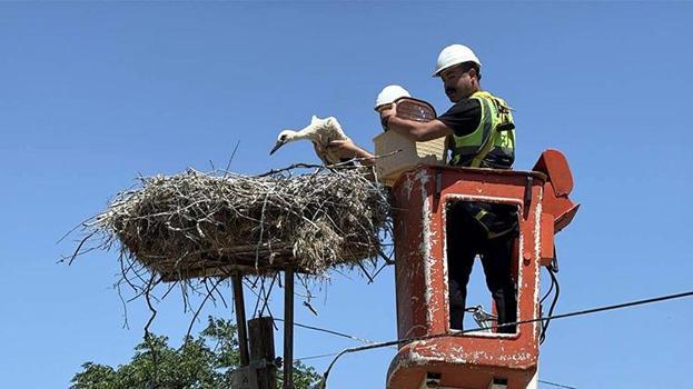 Karakavak'ta leylek festivali: Doğal hayatın korunması ve ekoturizme katkısı olacak