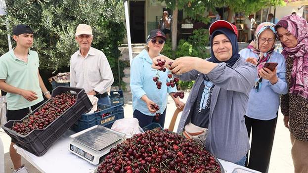 Coğrafi İşaretli Çeribaşı kirazında 250 tonluk hasat şenliği başladı!