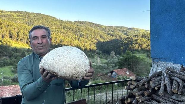 5 kiloluk mantar, görenleri şaşkına çevirdi!