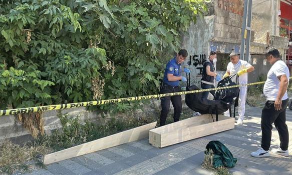 Kaybolan kedisini aramaya çıktı! Cesetle karşılaştı