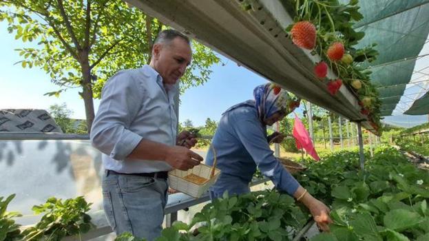 Eşini ikna etmek için seraya onun adını verdi! Şimdi kapısında kuyruk var: Parasıyla bile en fazla 1 kilo alabiliyorlar