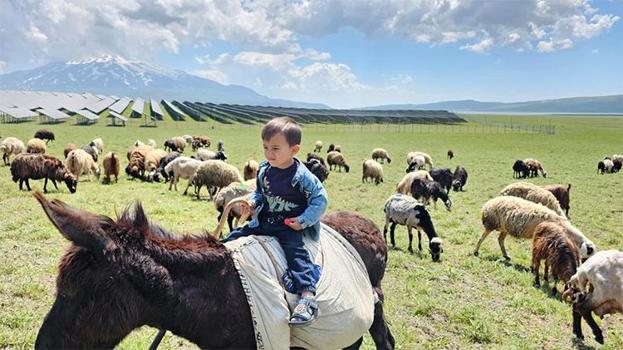 Bitlis'te hareketlilik başladı! Van Gölü kıyısından 2 bin rakıma büyük kaçış...