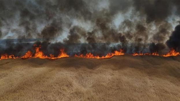 Edirne'de yangın çiftçinin bir yıllık emeğini küle çevirdi