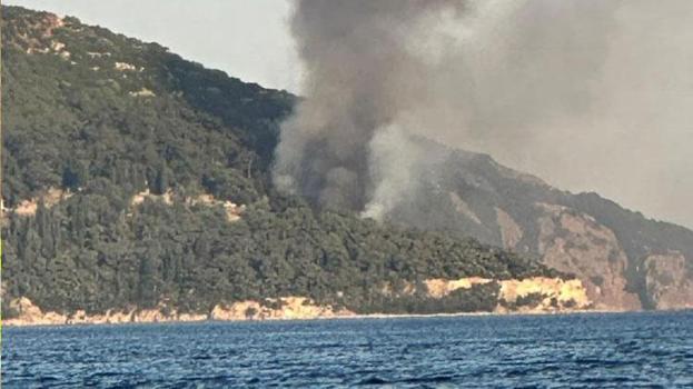 Büyükada'daki Viranbağ Plajı'nda çıkan yangın paniğe neden oldu