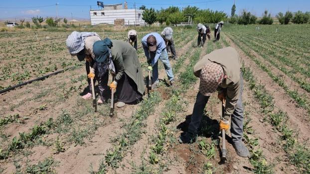 40 derede sıcakta zorlu mesai başladı! Kavurucu sıcakta üretimi sürdürüyorlar