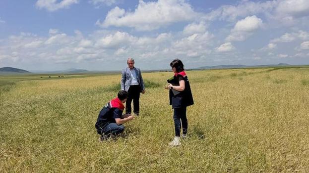 Kars’ta şiddetli dolu ve fırtına kabusu! 3 köyde tarım arazileri vuruldu: Ekipler sahaya indi