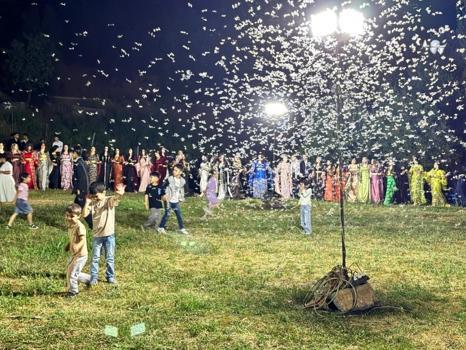 Düğüne gelenler kelebeklerle dans etti: Şırnak'ta düğün alanını istila ettiler