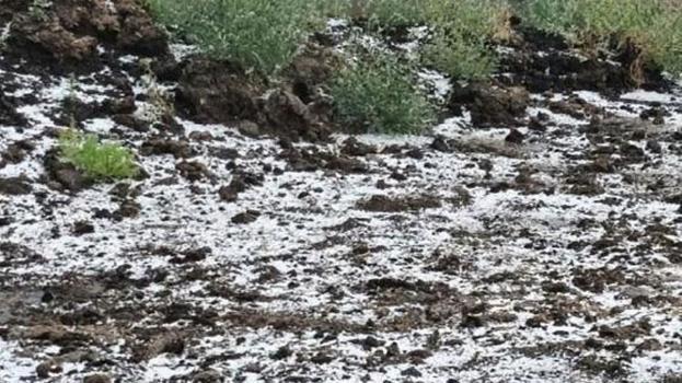 Edirne'de dolu yağışı etkili oldu tarım arazileri zarar gördü