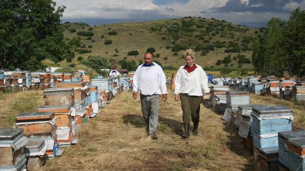 Muş'ta üreticilere nefes olan proje: Arıcılığa 30 yılını veren aile işlerini devlet destekleriyle büyüttü