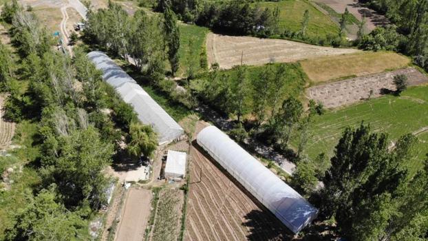 Bayburt'ta Yüzde 70 hibeli sera projesine başvurular başlıyor