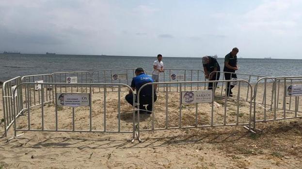 Tekirdağ'da bulundu ve koruma altına alındı! Koparmanın cezası 700 bin TL