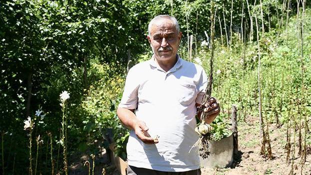 Fındığa alternatif aradı, arazisine o ürünleri ekti! Kazancı katladı, yurt dışında kapış kapış gidiyor