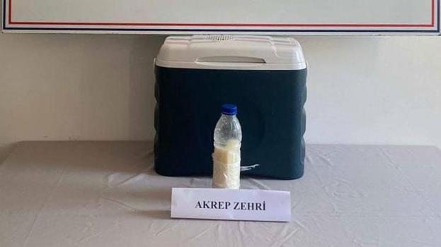 Gramı altından katbekat değerli akrep zehri Yalova'da yakalandı