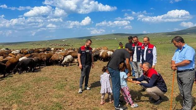 10 bin hayvan için seferberlik ilan edildi: Veteriner hekimler zirvede nöbette!