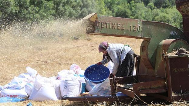 40 derece sıcak, dinmeyen toz: Hataylı üreticilerin kavurucu patoz mesaisi!
