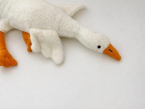 Bakanlık açıkladı! 'Peluş kaz'a yasak ve toplatma kararı