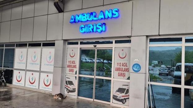 Eşek arısının sokması sonucu yoğun bakıma kaldırıldı