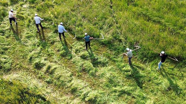 Traktörün giremediği dağlarda tırpan sesleri geliyor: Ağrı ve Kars’ta zorlu kış mesaisi başladı!