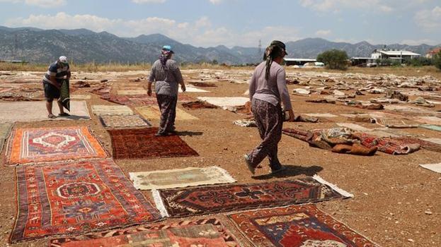 Köylerden tek tek toplanıp servete dönüştürülüyor! ABD ve Avrupa'da kapış kapış satılıyor