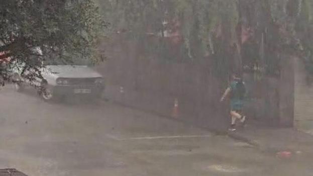 Tokat'ta fırtına etkili oldu ağaçlar devrildi
