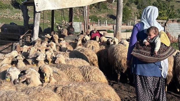 Kentin ekonomik can damarı! Erzincan’ın tescilli lezzeti mercek altında