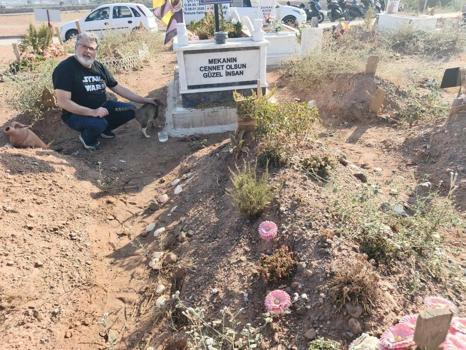 Aydın'ın kedileri vefalı çıktı: Mezarın başından ayrılmıyor